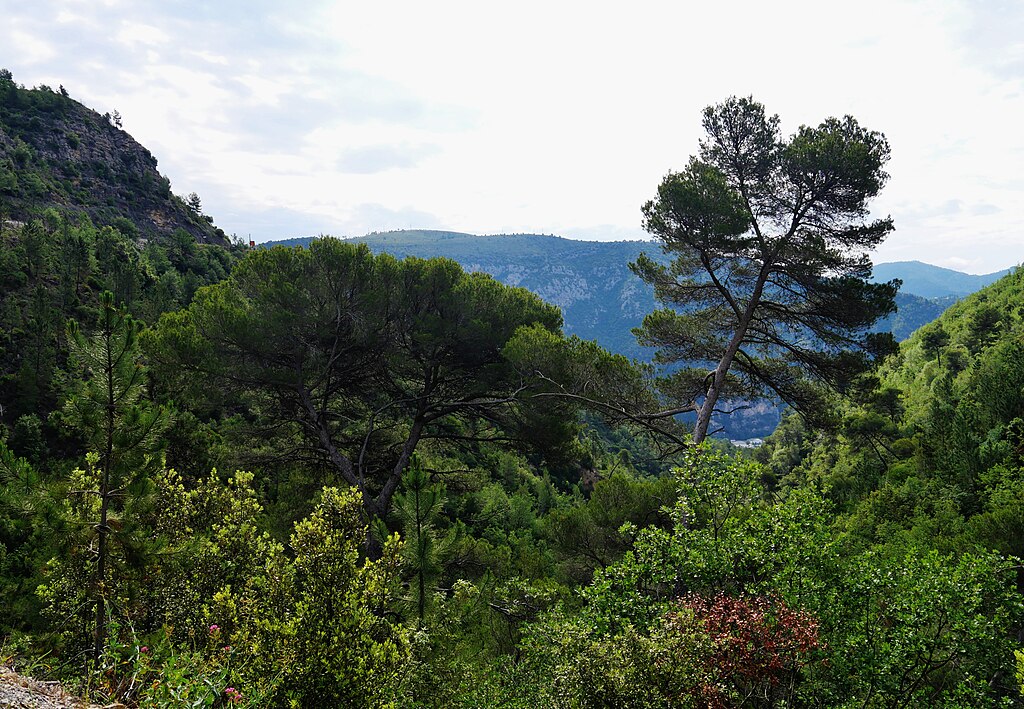 Renovation interieure pas cher Alpes-Maritimes