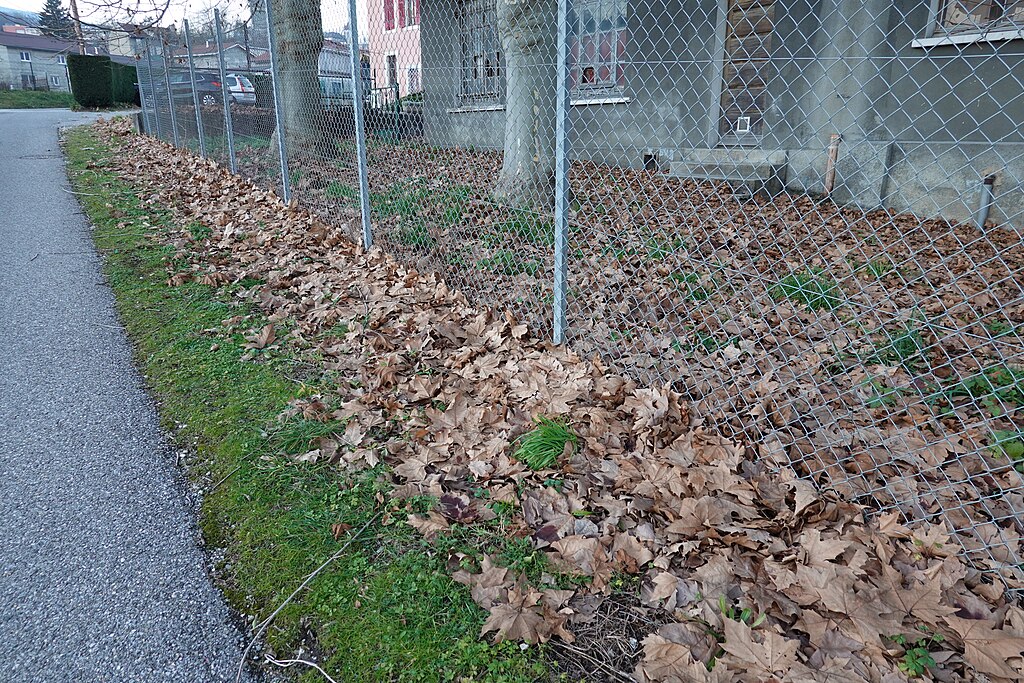 Renovation interieure pas cher Bellegarde-sur-Valserine