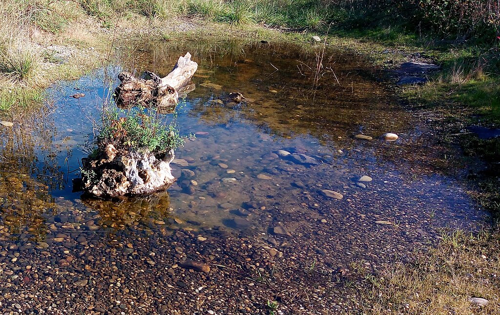 Renovation interieure pas cher Wittenheim