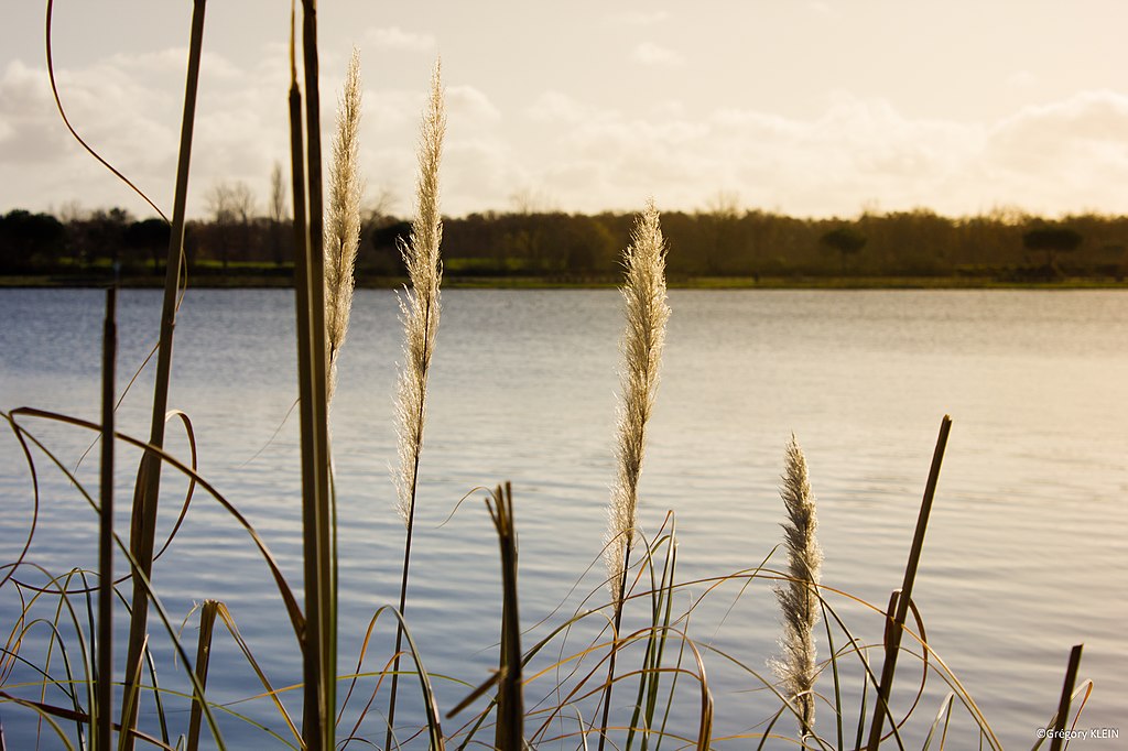 Renovation interieure pas cher Tournefeuille