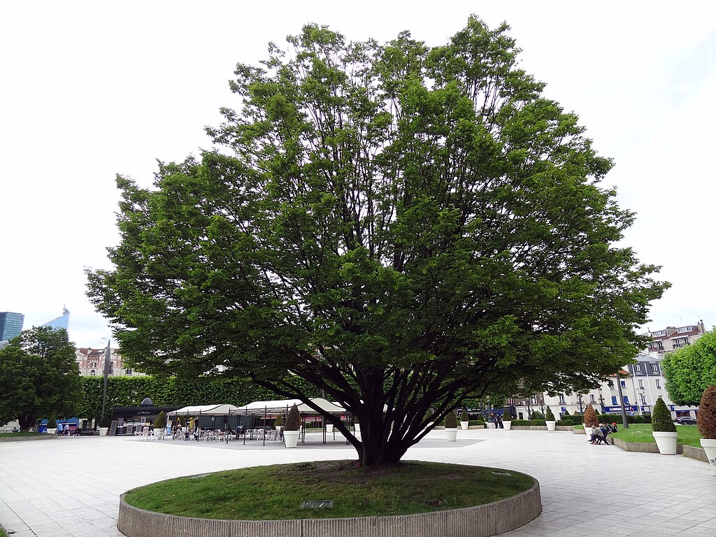 Renovation interieure pas cher Puteaux