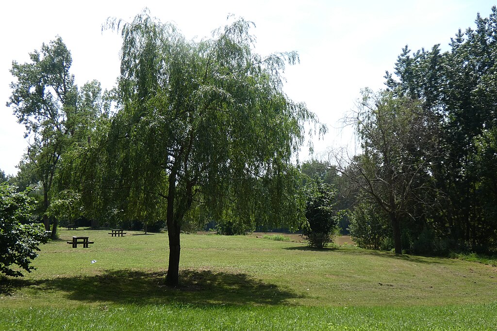 Renovation interieure pas cher Marmande